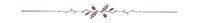 separador